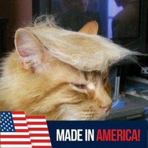 Meet your Posher, Jan